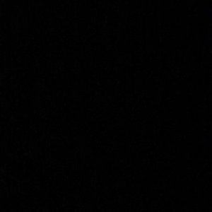 Meet your Posher, Eva